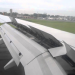 photo of wing flap